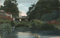 Creek Scene Postcard