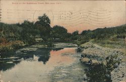 Scene on the Guadalupe Creek San Jose, CA Thorps Postcard Postcard Postcard