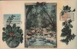 A Hearty Christmas Greeting from San Jose, Calif. - Creek in Alum Rock Park California Postcard Postcard Postcard