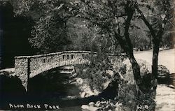 Alum Rock Park San Jose, CA Postcard Postcard Postcard