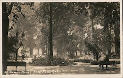 St. James Park Postcard