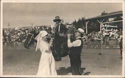 California Round Up San Jose, CA Postcard Postcard Postcard