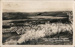 Santa Clara Valley in blossom reached by Southern Pacific San Jose, CA Postcard Postcard Postcard