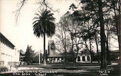 San Jose State College Postcard