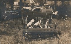 Puppies, Smith Creek Hotel near Mt. Hamilton San Jose, CA Postcard Postcard Postcard