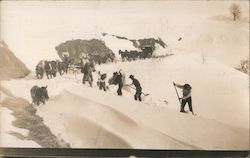 Team Clearing Snow-covered road, Mount Hamilton San Jose, CA Postcard Postcard Postcard