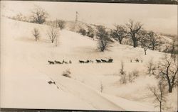 Team Clearing Snow-covered road, Mount Hamilton #2 San Jose, CA Postcard Postcard Postcard