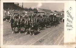 A California State Fair Sacramento, CA Postcard Postcard Postcard