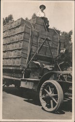 Boy Riding on Load of Fruit Crates San Bernardino, CA Postcard Postcard Postcard