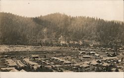 Birds Eye View of Scotia California Postcard Postcard Postcard