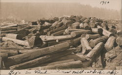 Logs in Pond at New Mill Scotia, CA Postcard Postcard Postcard