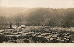 Aerial View of Scotia California Postcard Postcard Postcard