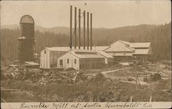 Lumber Mill Scotia, CA Postcard Postcard Postcard