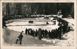 Winter Sports Sequoia National Park, CA Postcard Postcard Postcard