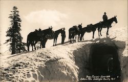 Snow Tunnel - Salmon Mts. Postcard