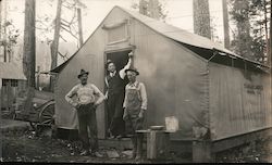 Standard Lumber John Lowe Pickering Lumber Co. Logging Camp Postcard