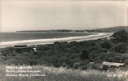 Where a Dip in the Pacific Ocean is Enjoyed Postcard