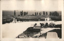 Scene on the Suisun Slough Suisun City, CA Postcard Postcard Postcard