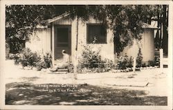 Honeymoon Cottage Camp San Francisco Tuolumne, CA Postcard Postcard Postcard