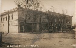 Business Block - Hotel Francis Postcard