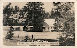 Tamarack Lodge Ebbetts Pass Highway Stockton, CA Postcard Postcard Postcard