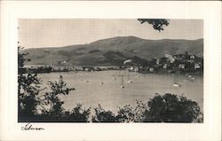 Sailboats on the Waterlo Postcard