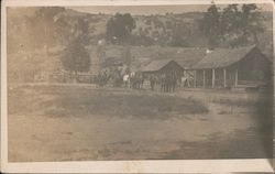 Horses on a Ranch Tehachapi, CA Postcard Postcard Postcard