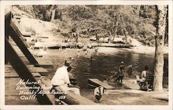 Natural Swimming Pool, Trinity Alps Resort Postcard