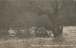 Truckee River Flood Dec. 17 1900 Postcard