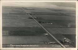 Tule Lake Farming Area California Postcard Postcard Postcard