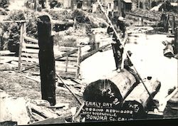 Early Day Logging Redwoods Guerneville, CA Postcard Postcard Postcard