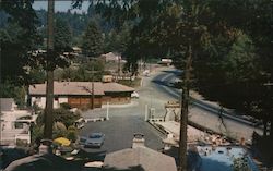 Ferngrove Motel Resort Postcard