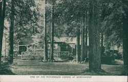 One of the Picturesque Lodges at Northwood Guerneville, CA Postcard Postcard Postcard