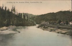 Looking Up the Russian River Guerneville, CA Postcard Postcard Postcard