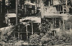 Pioneer Camp Postcard