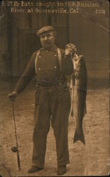 A 27 lb Bass Caught in the Russian River Postcard