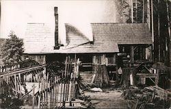 A Rickety Old Shack Guerneville, CA Postcard Postcard Postcard