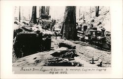 French Bros Loggers And Guern's At Murphy's Engine For Logging Aug 28 1882 Guerneville, CA Postcard Postcard Postcard