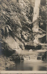 A Large Tree and a Waterfall Postcard