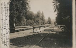 A Train Bridge Guerneville, CA Postcard Postcard Postcard