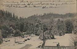 Railroad Tracks and Trees Covered in Snow Guerneville, CA Postcard Postcard Postcard