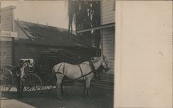 A Man with a Horse Drawn Carriage Guerneville, CA Postcard Postcard Postcard