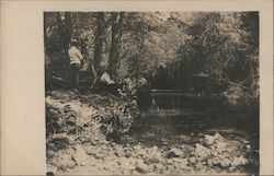 Men Fishing in a River Guerneville, CA Postcard Postcard Postcard