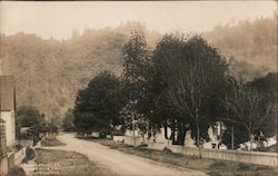 A Street Lined with Houses Postcard