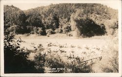 Russian River Highcroft Postcard