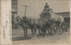 A Man on a Horse Drawn Carriage Postcard