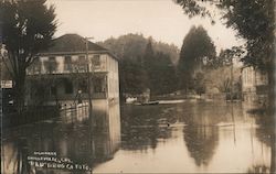 High Water Guerneville, CA Postcard Postcard Postcard