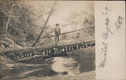 Natures Bridge Mirabel Park Postcard