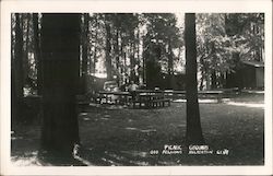 Picnic Grounds Odd Fellows Recreation Club Guerneville, CA Postcard Postcard Postcard