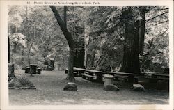 Picnic Grove at Armstrong Grove State Park Guerneville, CA J. A. Cunnington Postcard Postcard Postcard